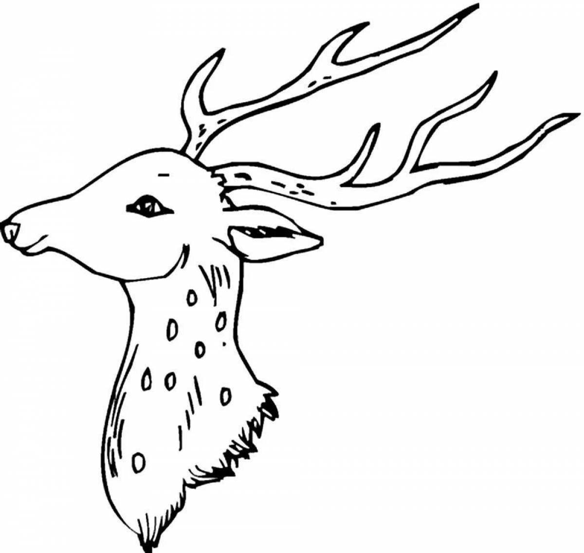 Deer head #3