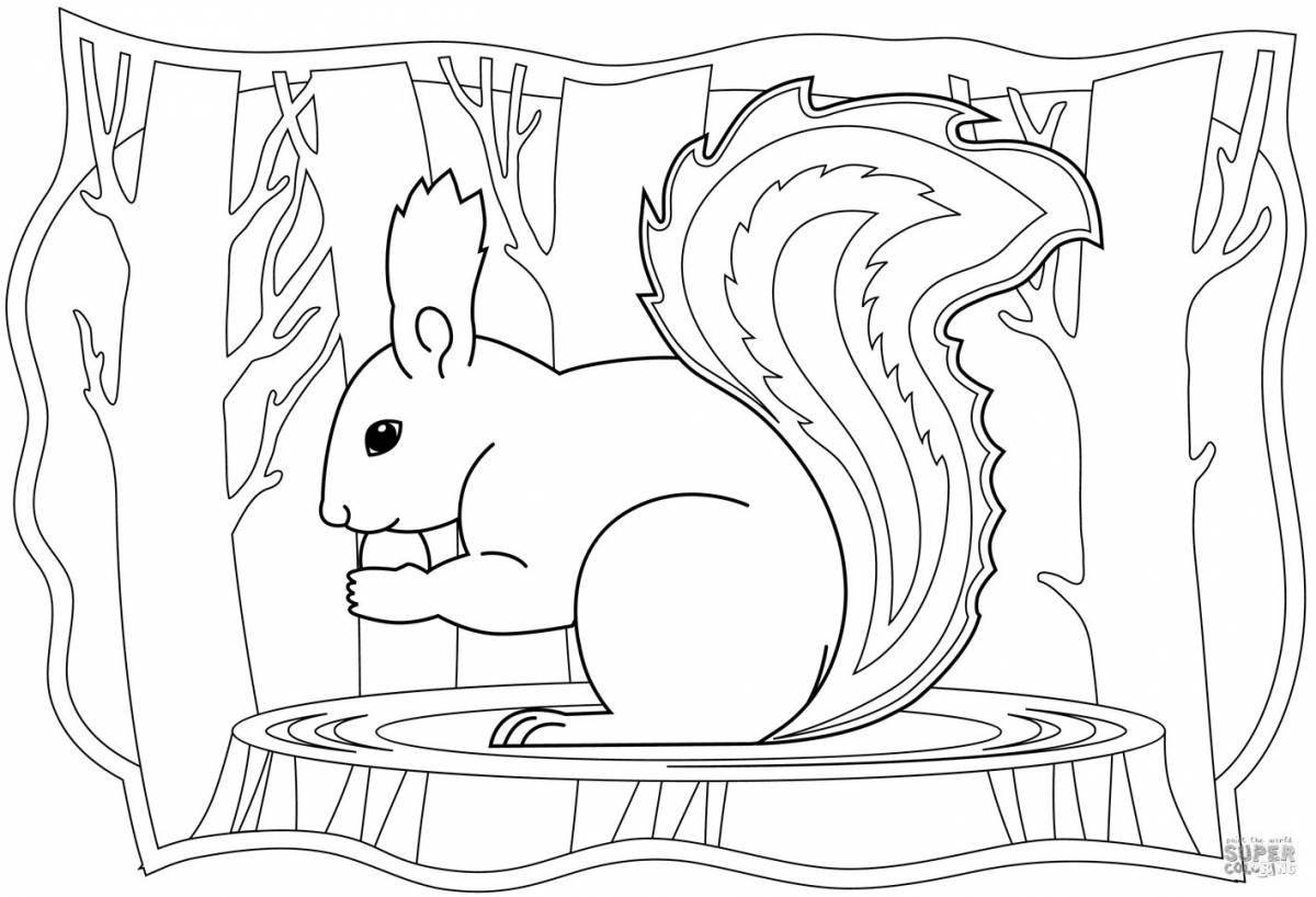 Creative squirrel coloring book for children 6-7 years old