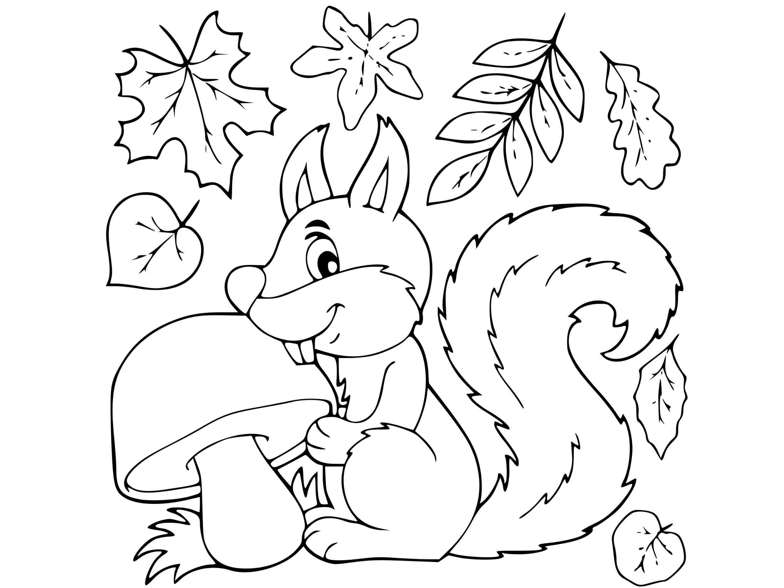 Color-frenzy squirrel coloring book for children 6-7 years old