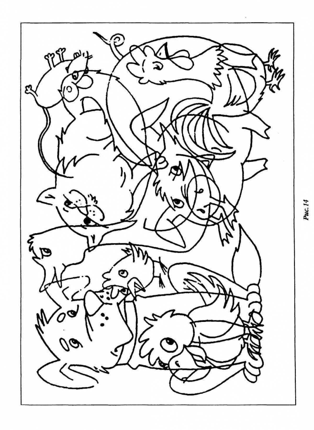 Find the animals wonderful coloring book