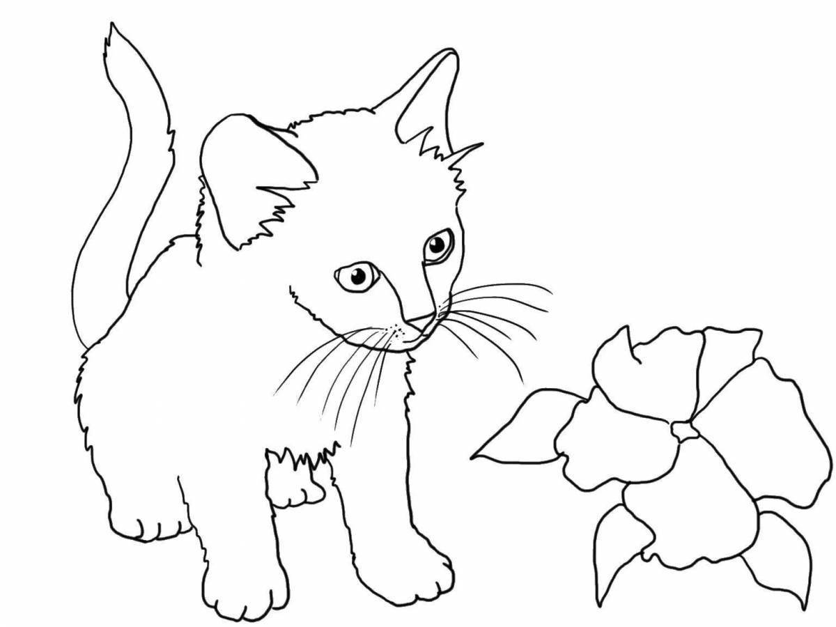 Coloring book fluffy gray kitten