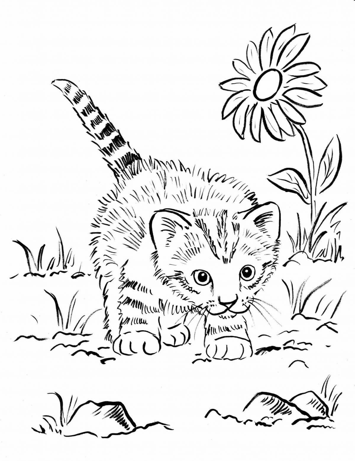 Раскраска пушистый полосатый котенок