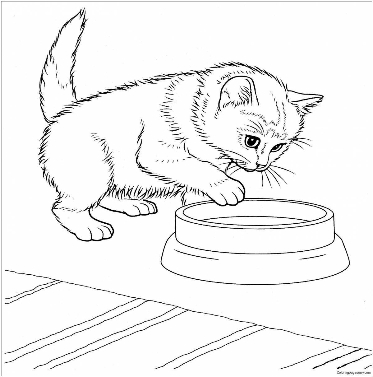 Coloring book fluffy Maine Coon kitten