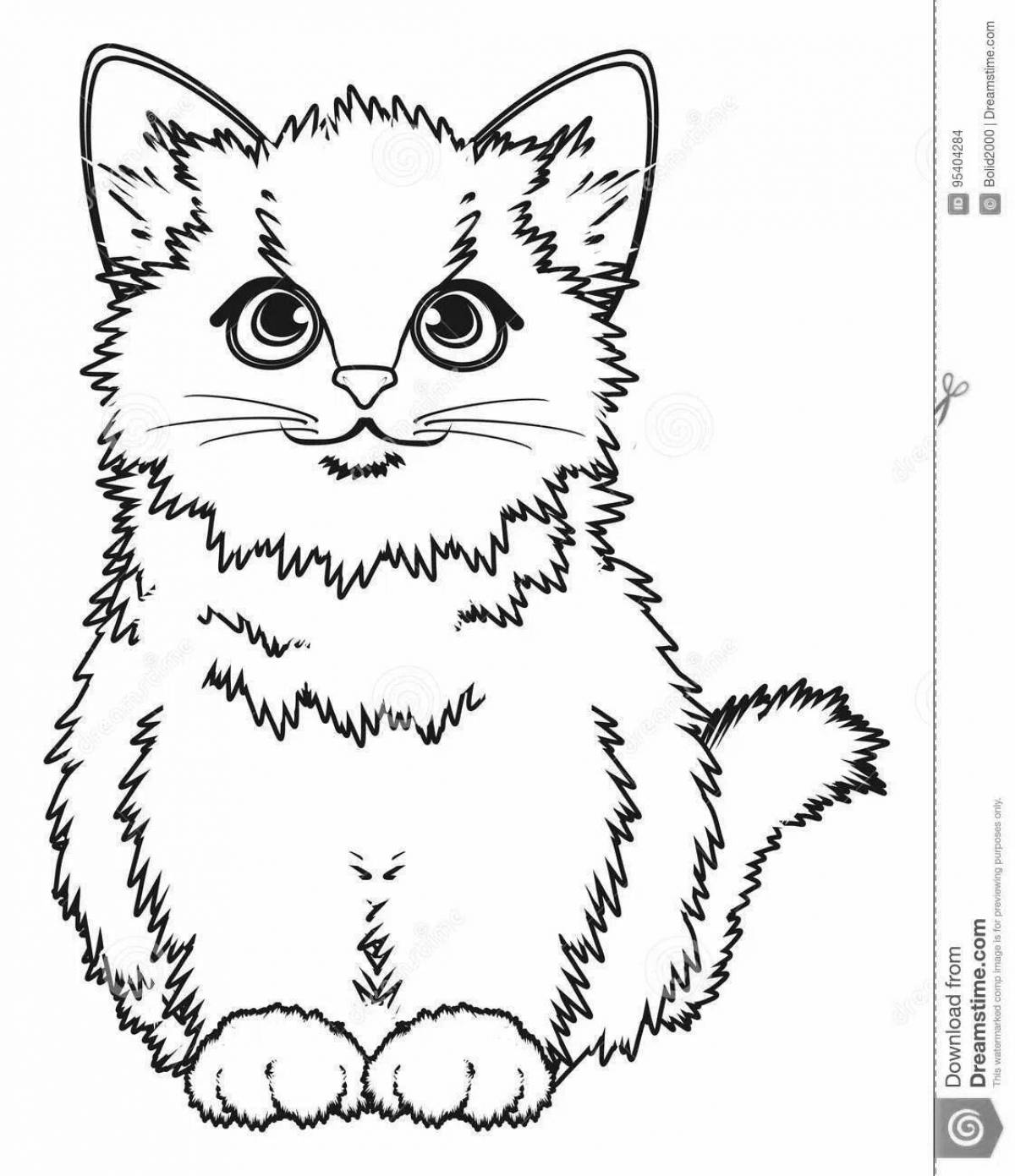 Раскраска пушистый котенок сфинкса