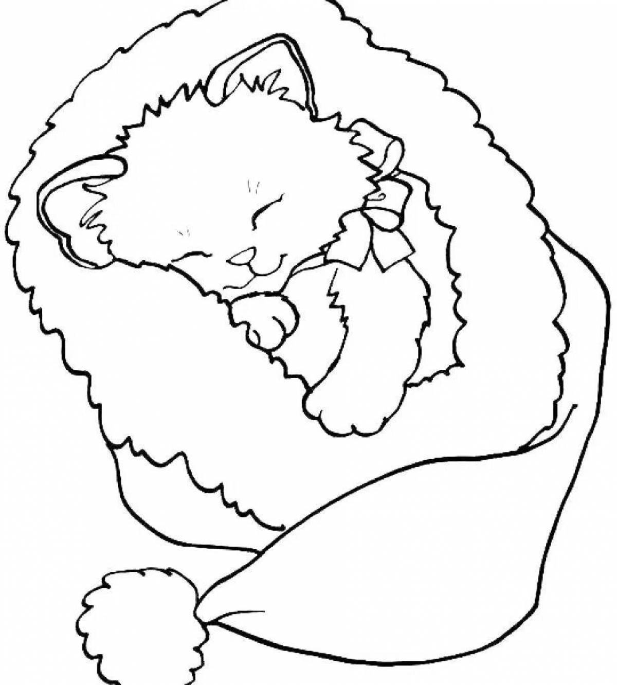 Coloring page fluffy american shorthair kitten