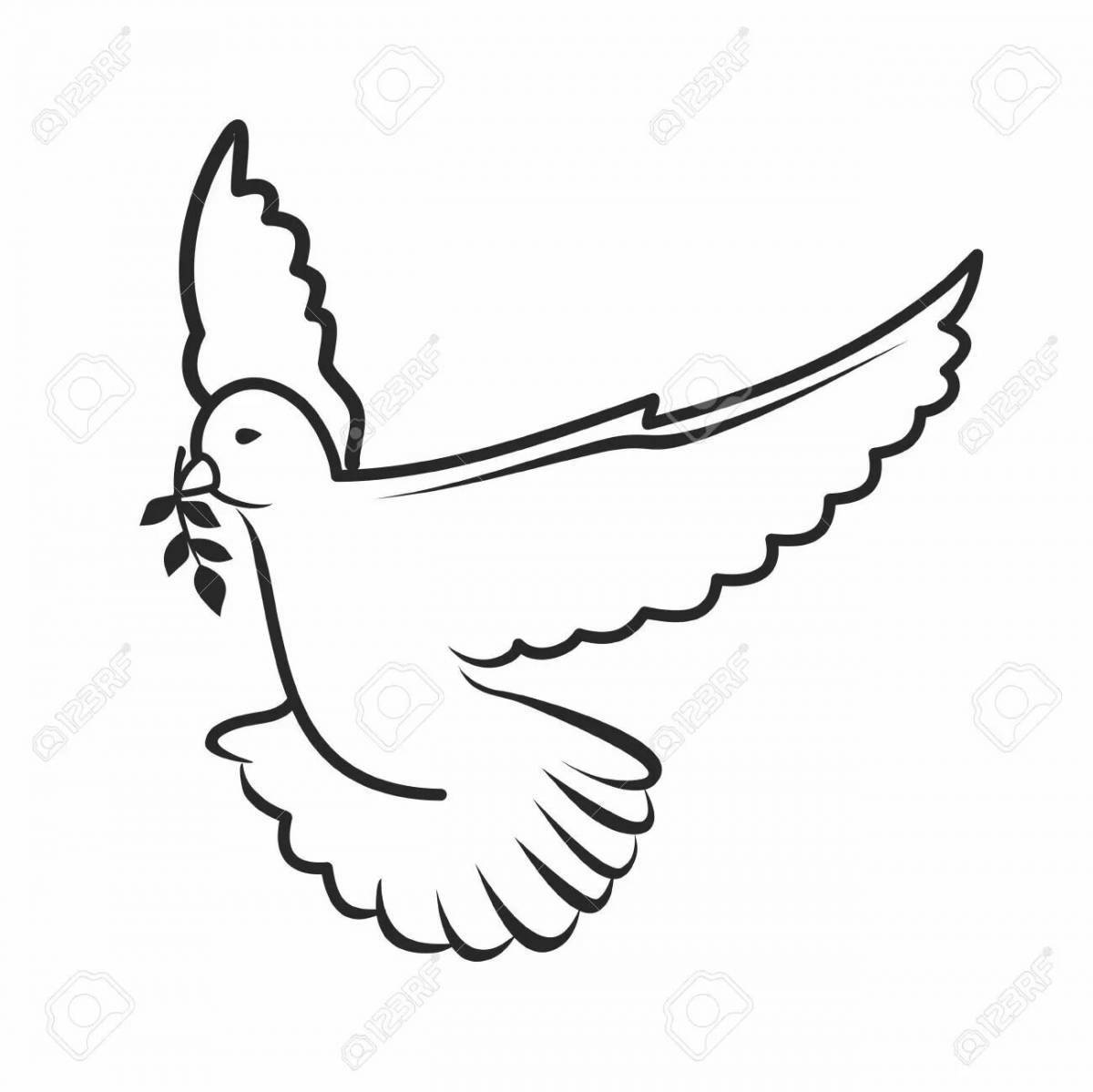 Coloring page elegant flying dove