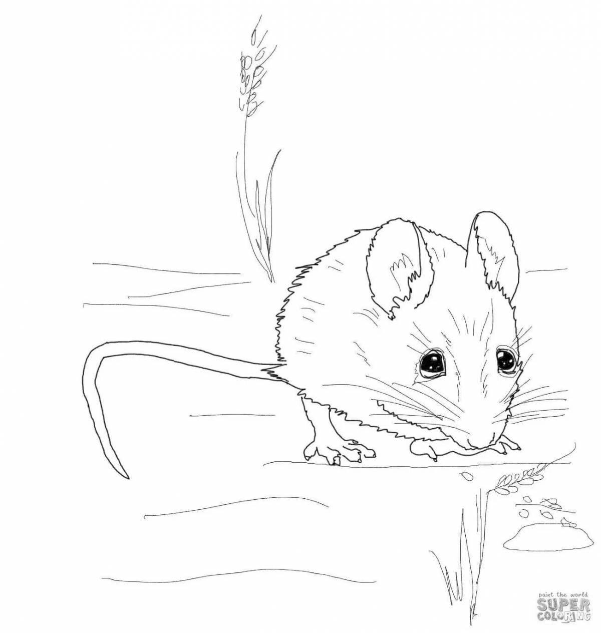Colorful harvest mouse coloring page