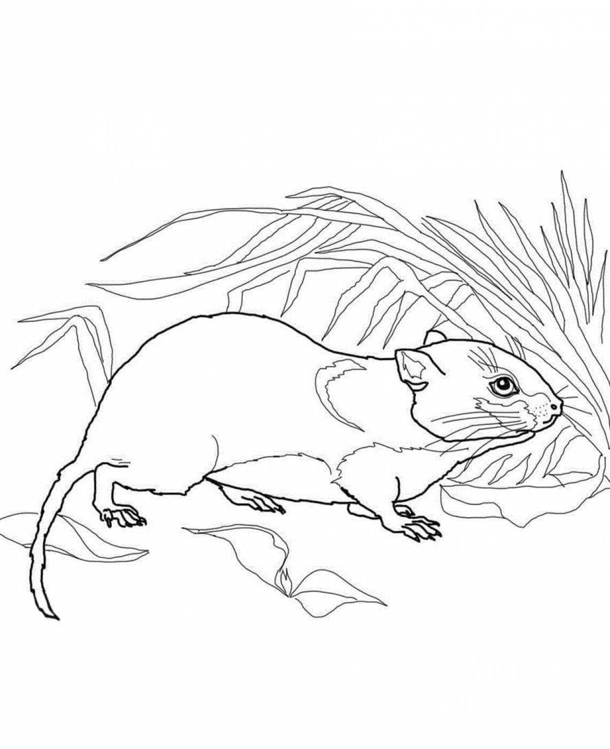 Cute harvest mouse coloring page