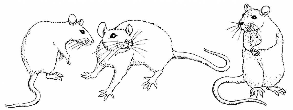 Lovely harvest mouse coloring page