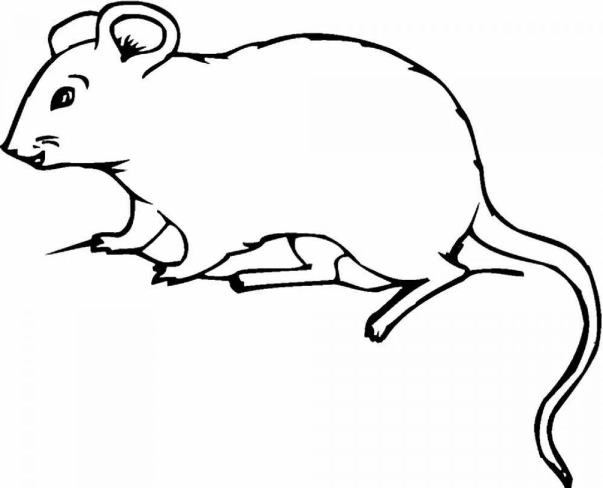Tempting harvest mouse coloring page