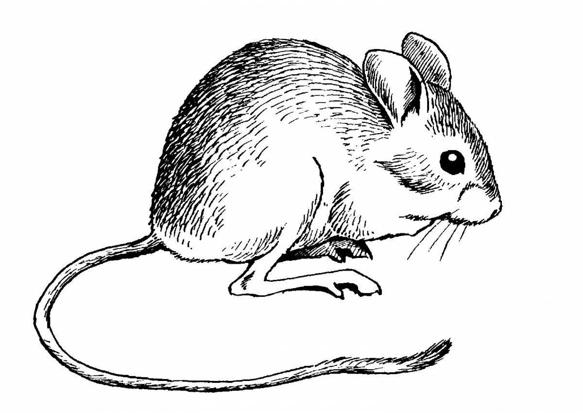 Crop mouse coloring page