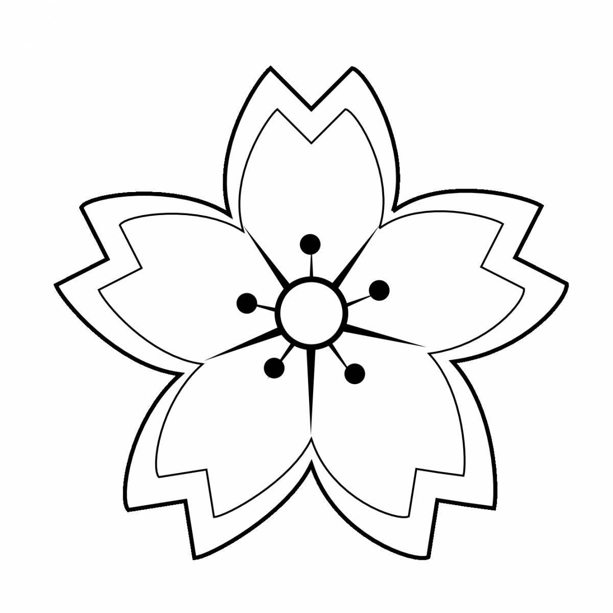 Exquisite simple flower coloring book