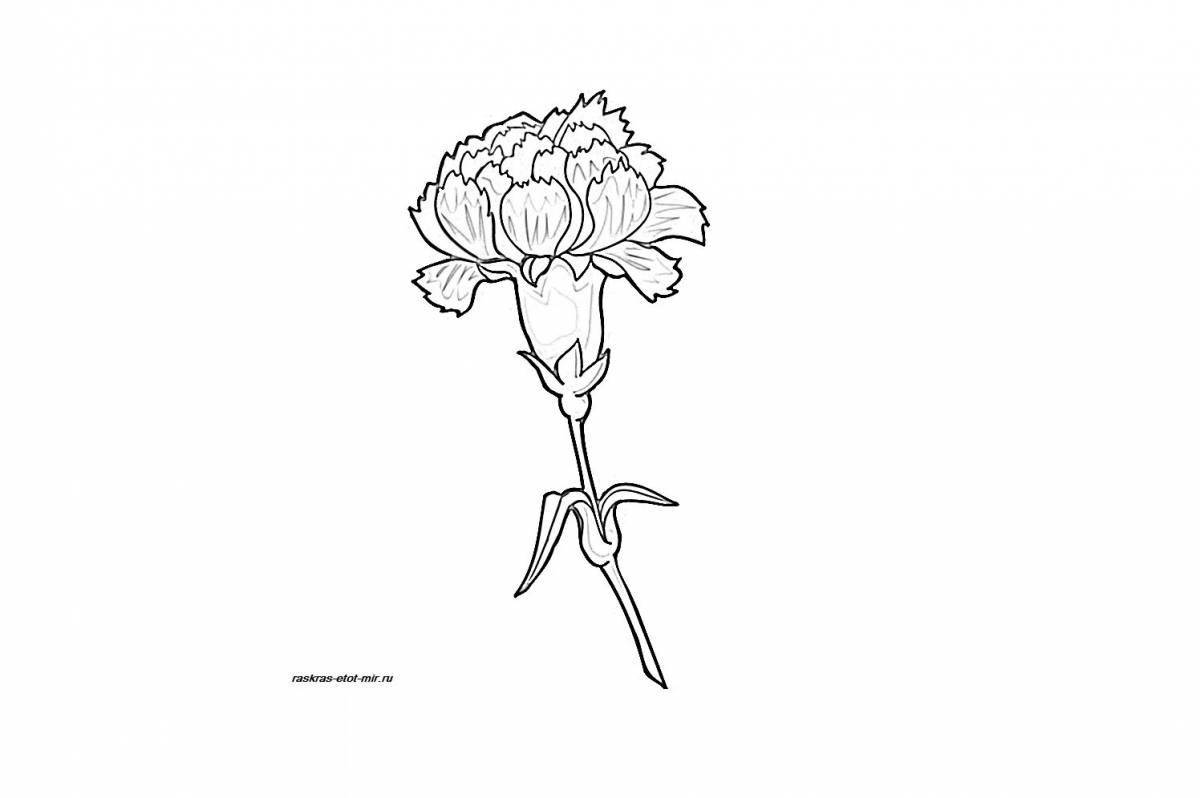 Adorable carnations coloring book