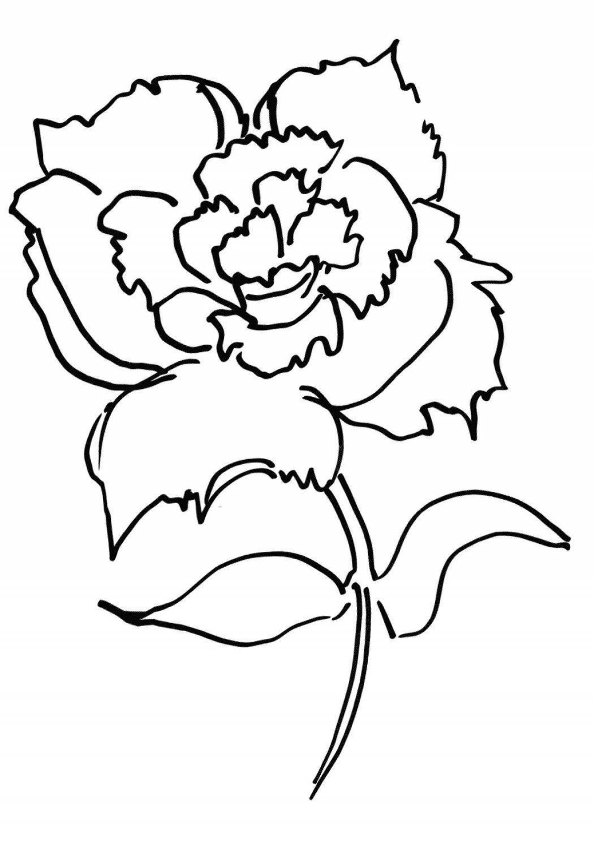 Coloring animated carnations