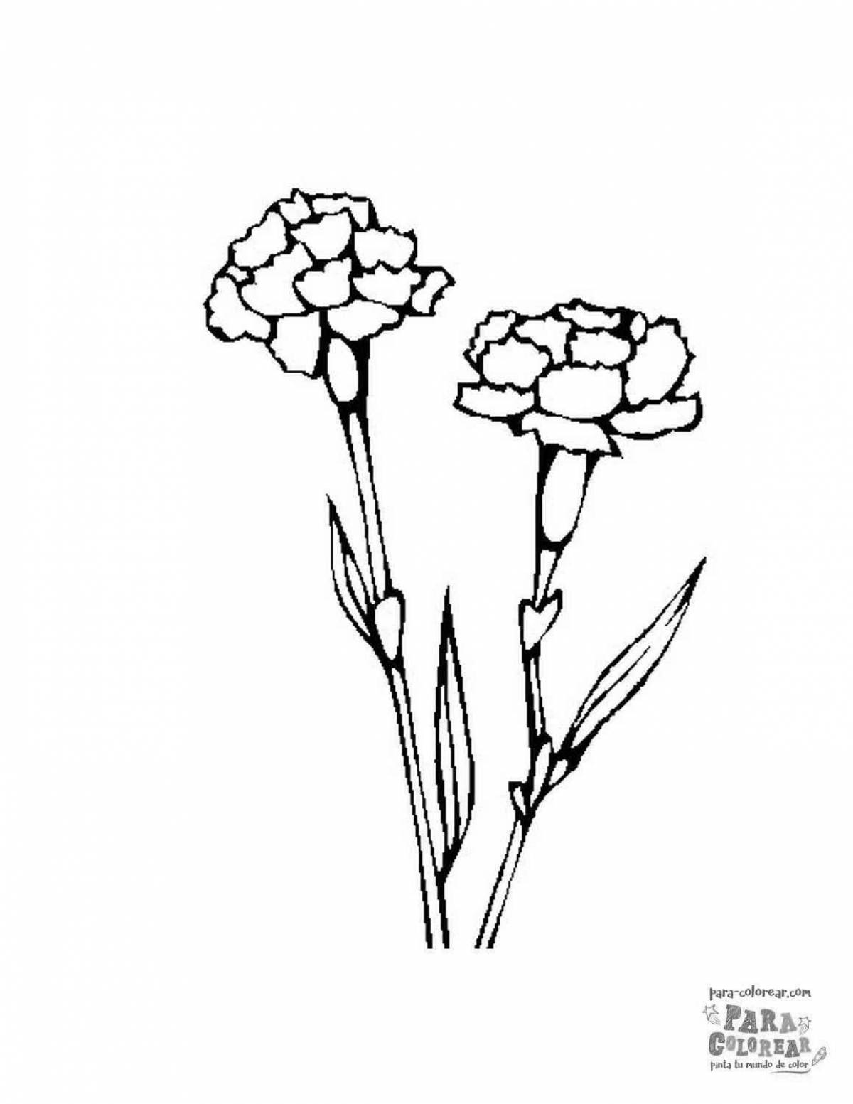Two carnations #3