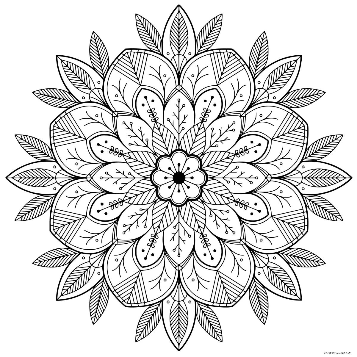 Щедрая раскраска цветы мандала