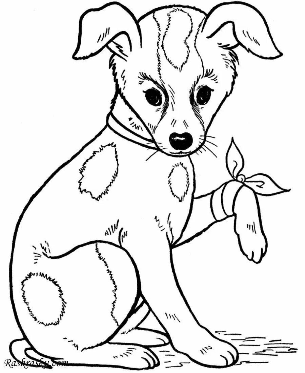 Live coloring of a dog for children