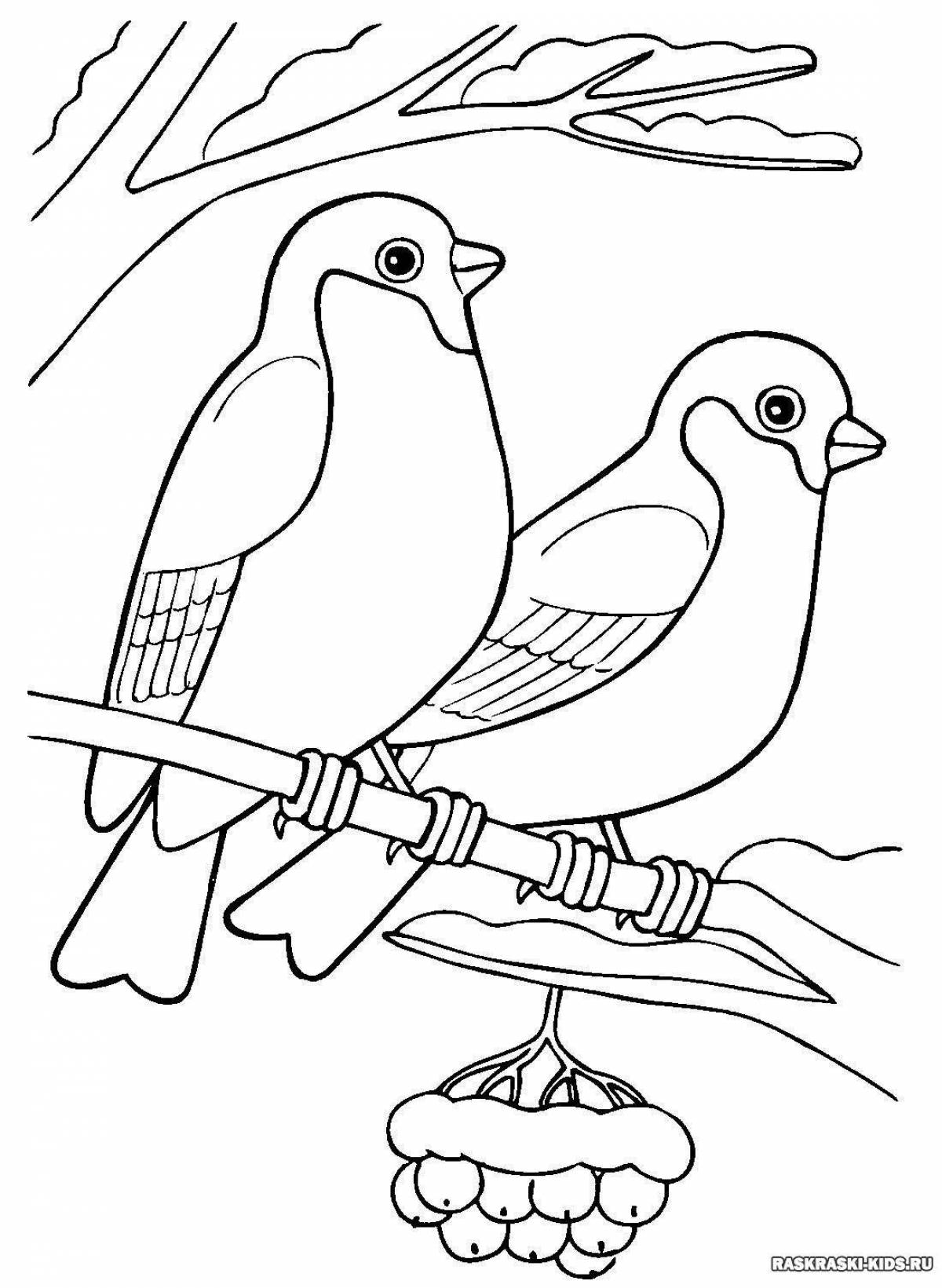 Amazing winter bird coloring page