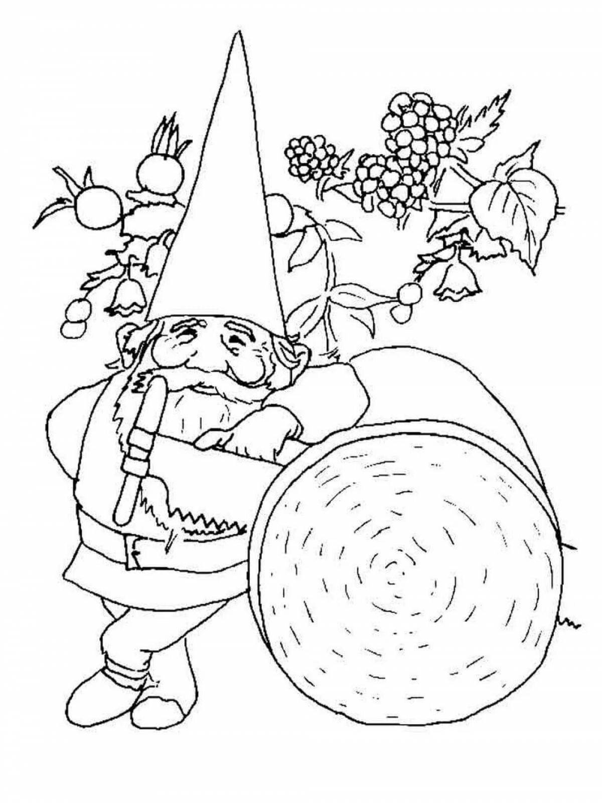 Charming gnome Christmas coloring book