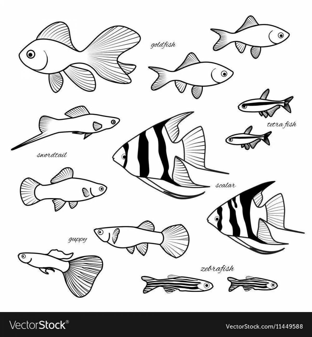 Colourful aquarium fish coloring book for kids