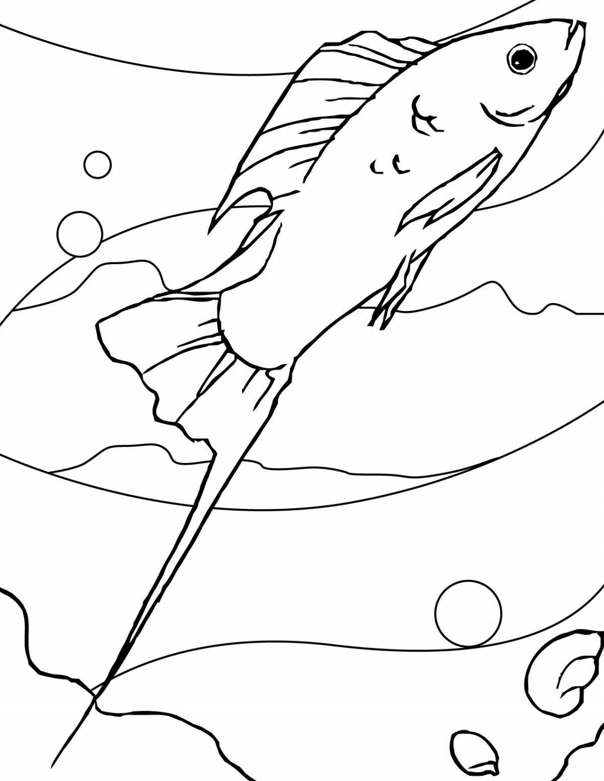 Amazing aquarium fish coloring pages for kids