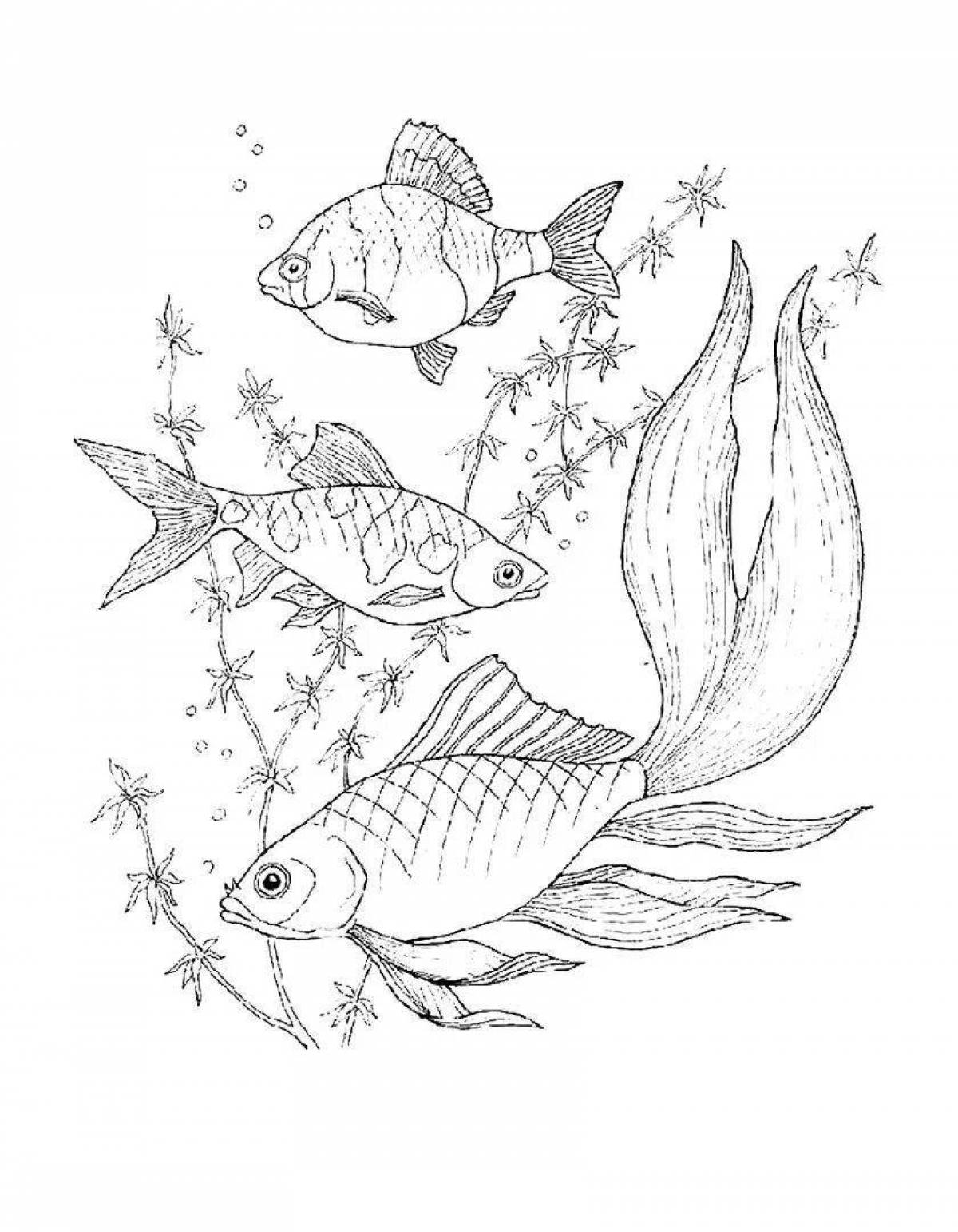 Fun aquarium fish coloring book for kids