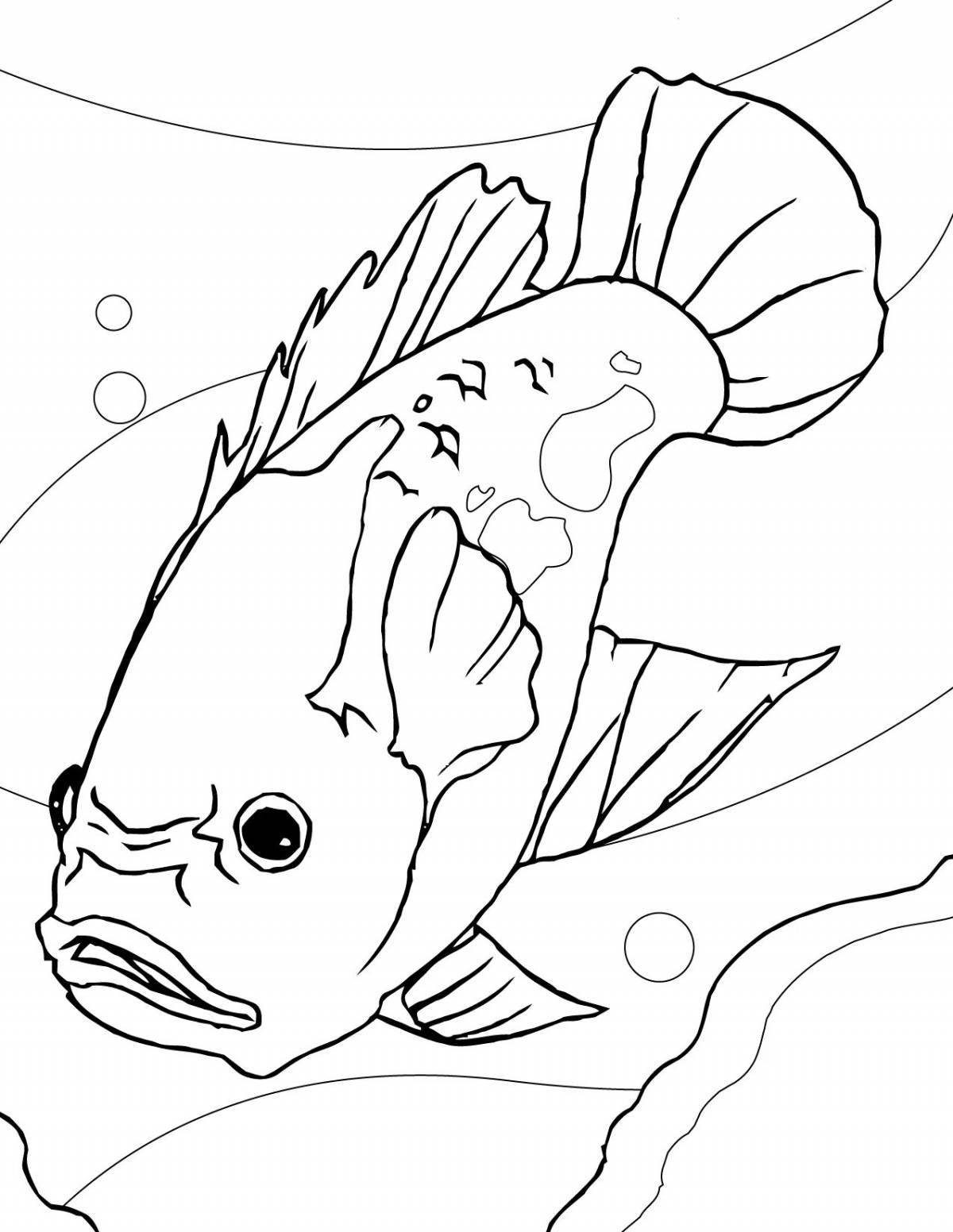 Сказочные аквариумные рыбки-раскраски для детей