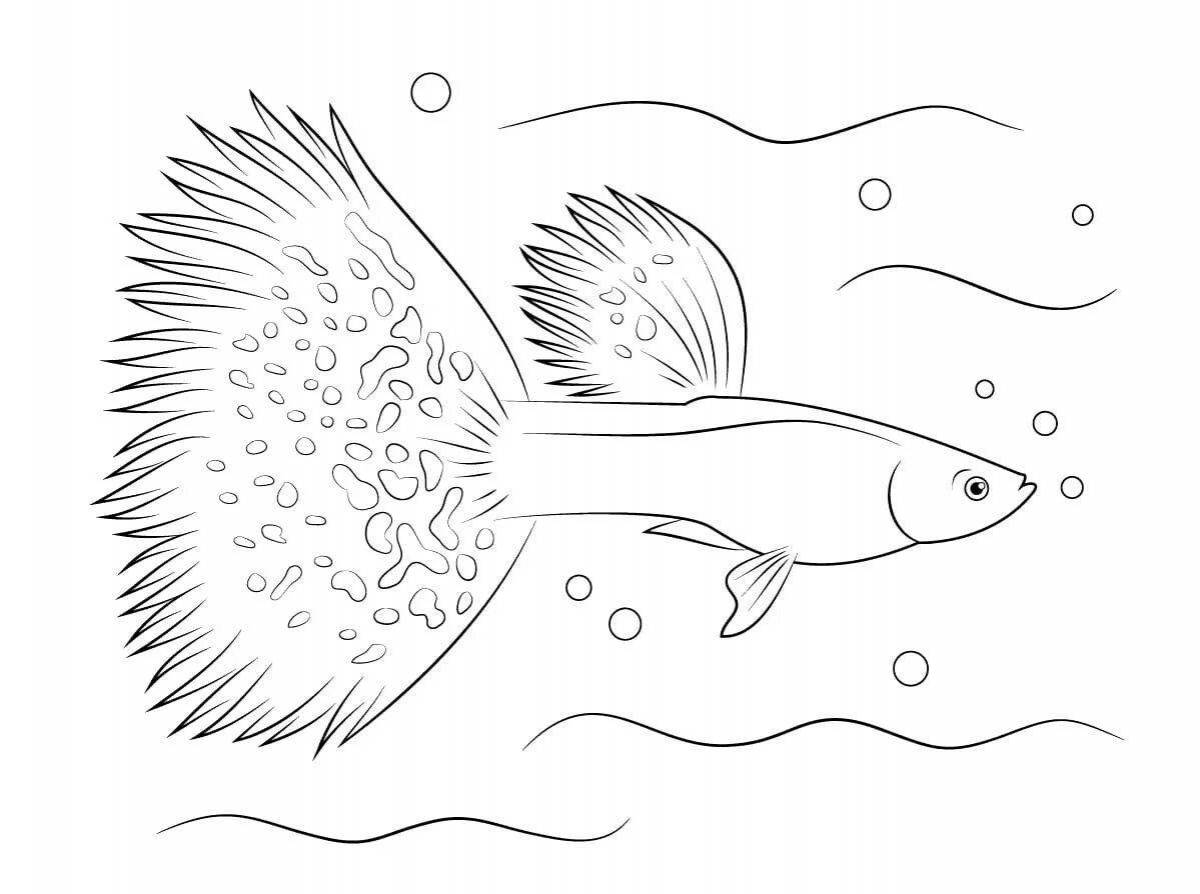 Славная аквариумная рыбка-раскраска для детей