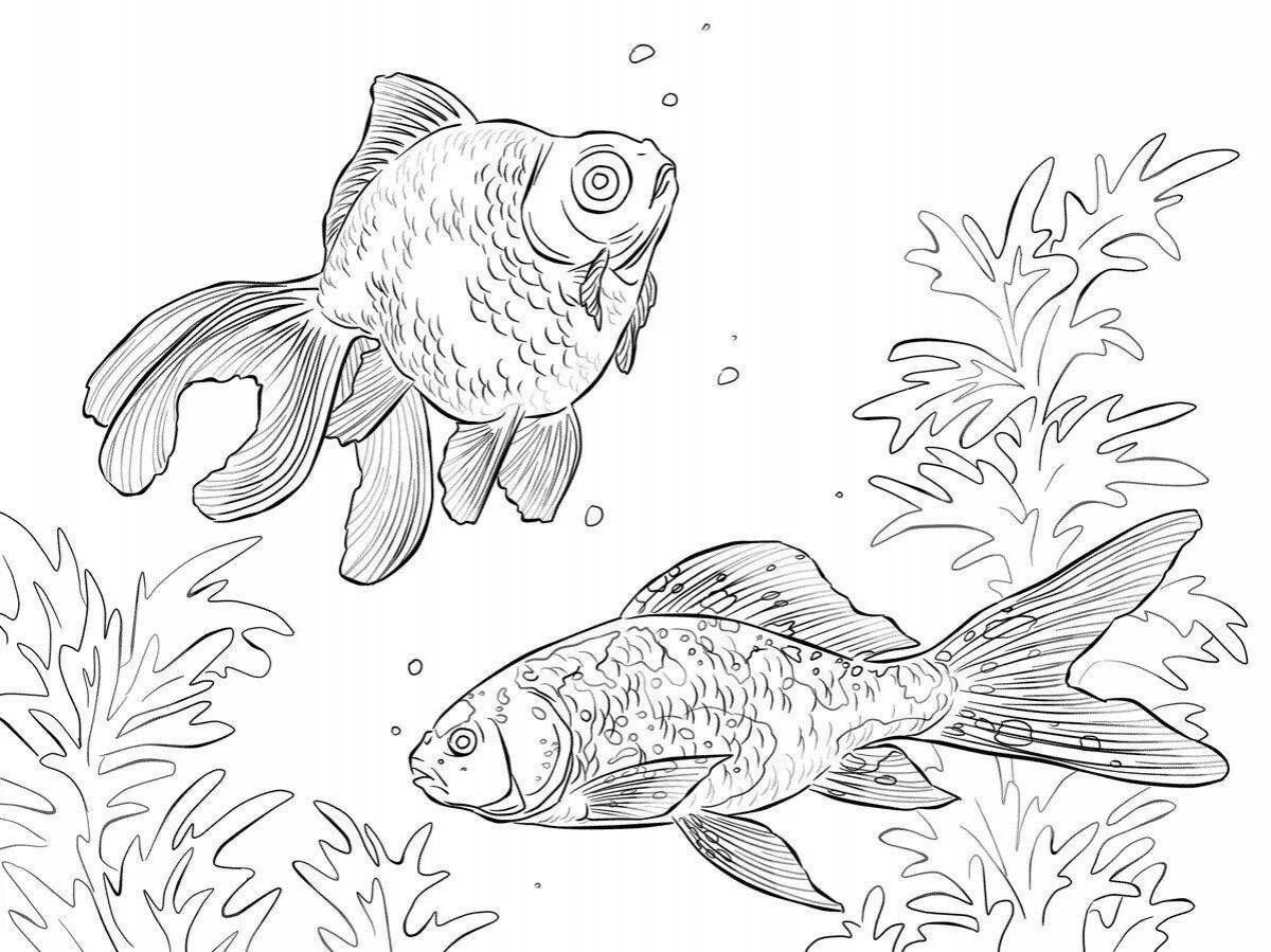 Creative aquarium fish coloring book for kids