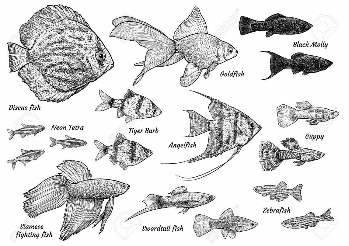 Coloring aquarium fish with names for kids