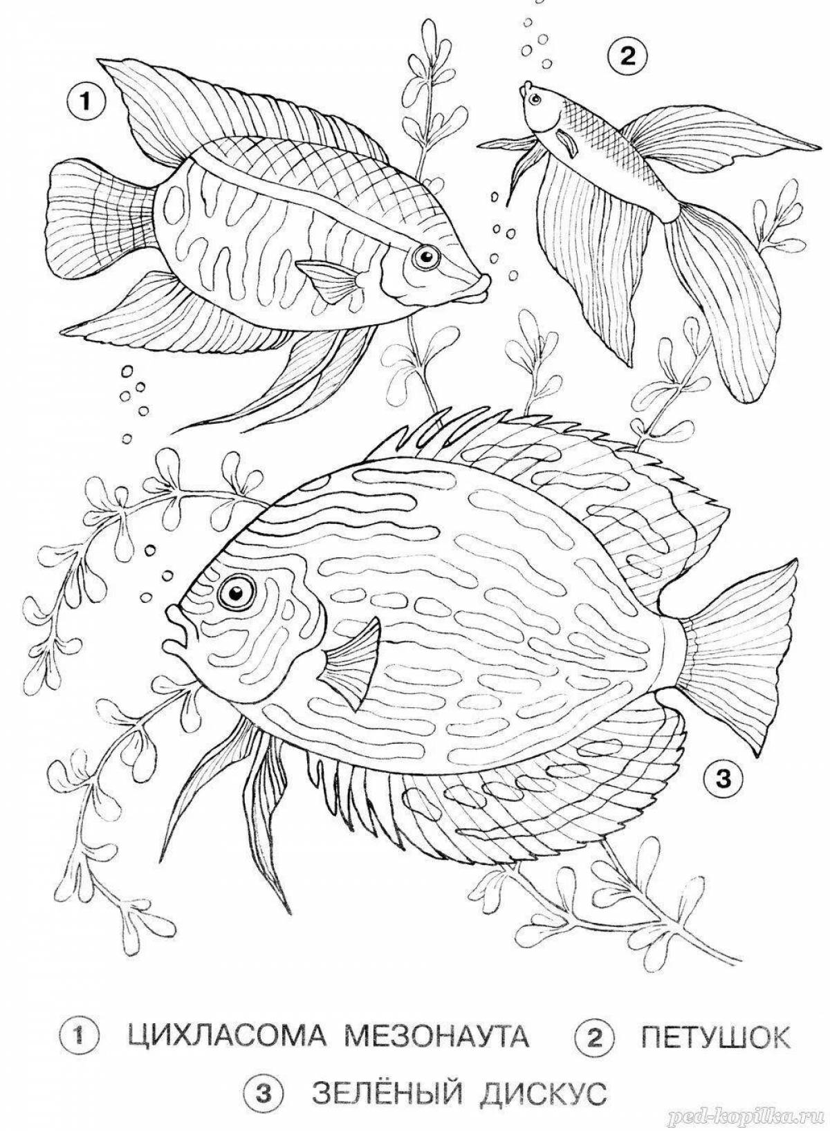 Веселые аквариумные рыбки-раскраски с именами для детей