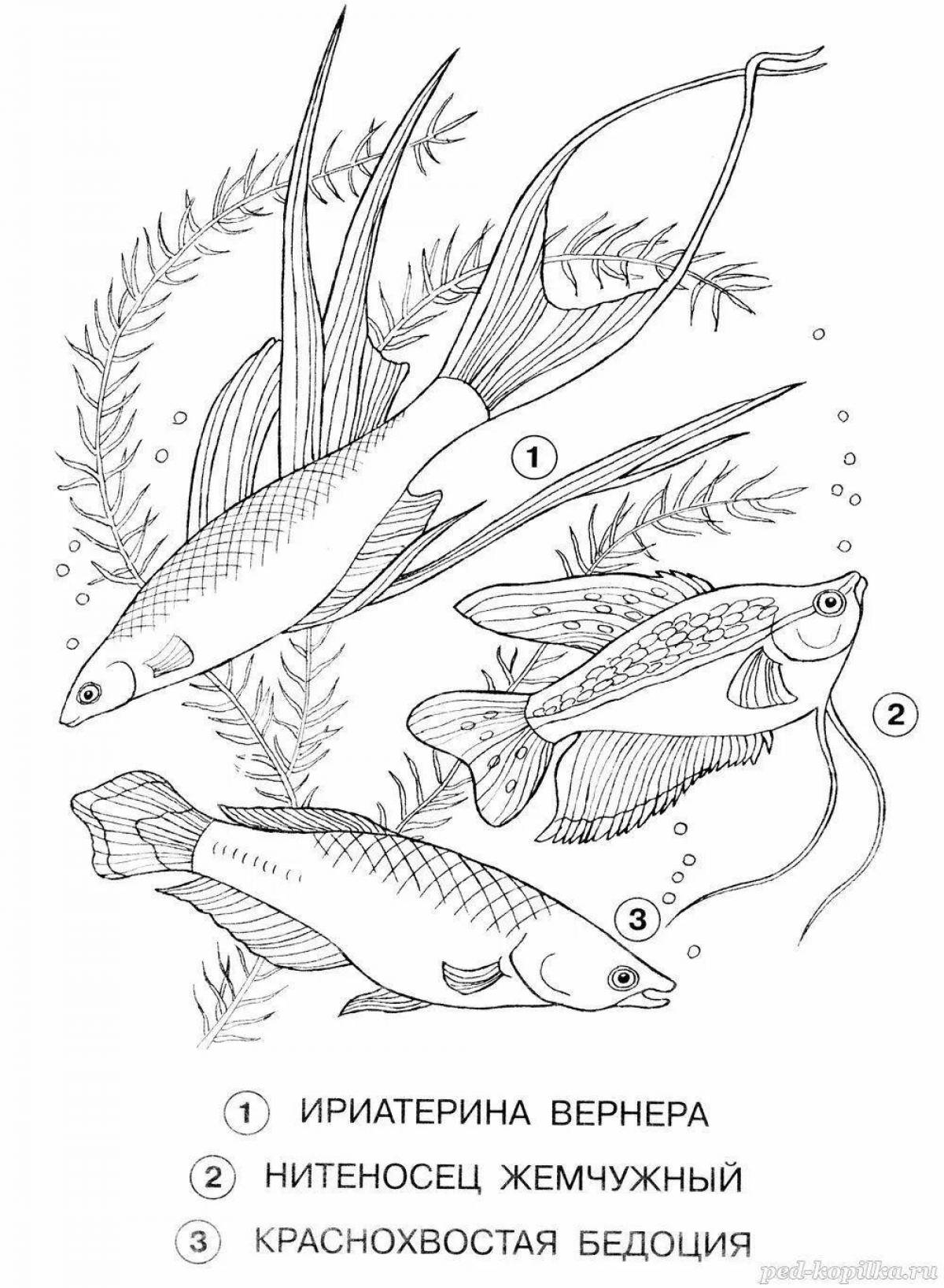 A fun aquarium fish coloring book with names for kids