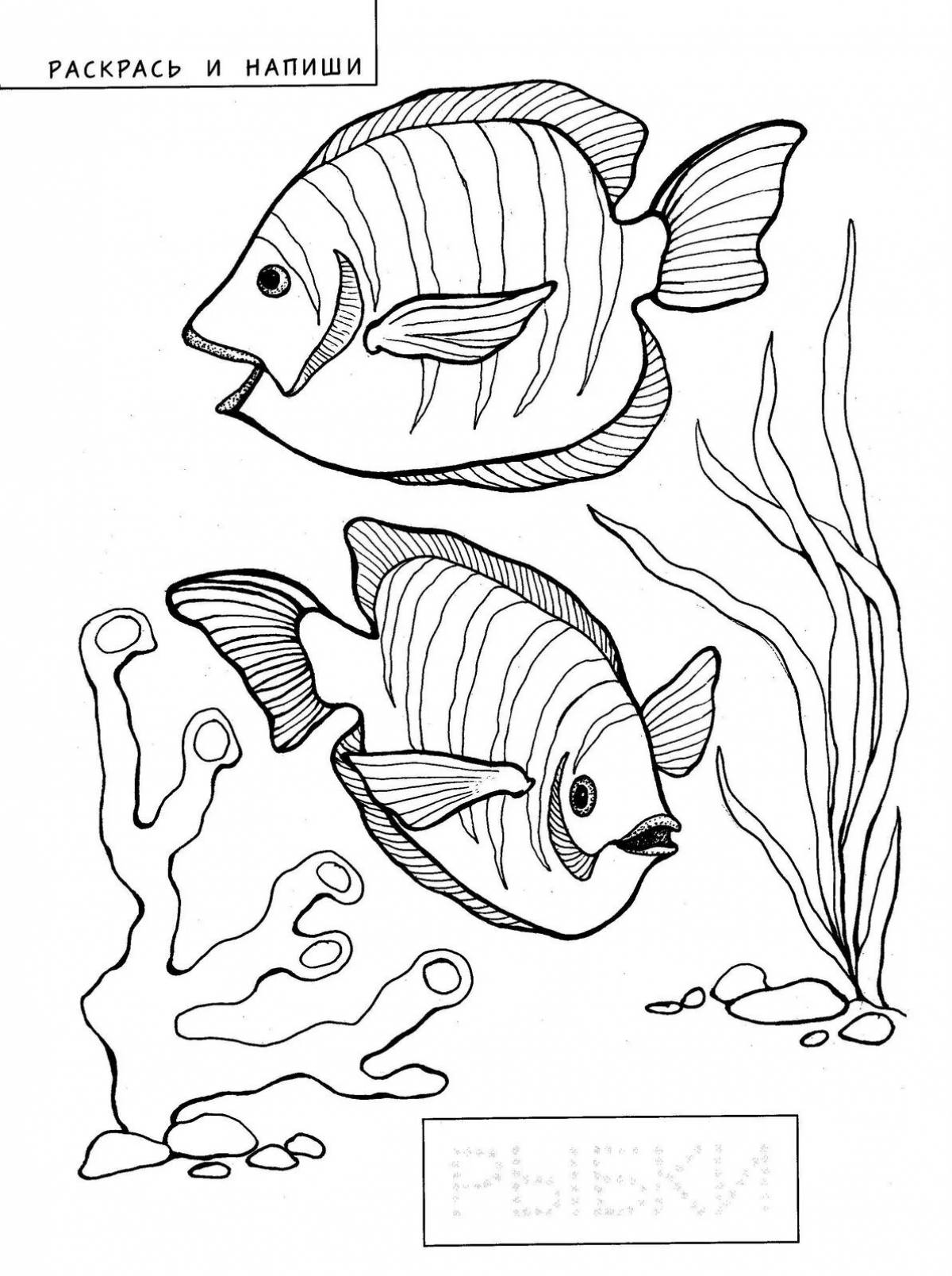 Аквариумные рыбки с названиями для детей #4
