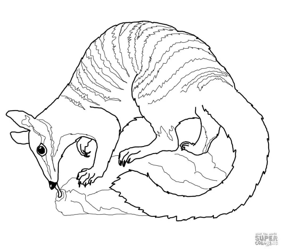 Раскраска симпатичная спиральная кошка