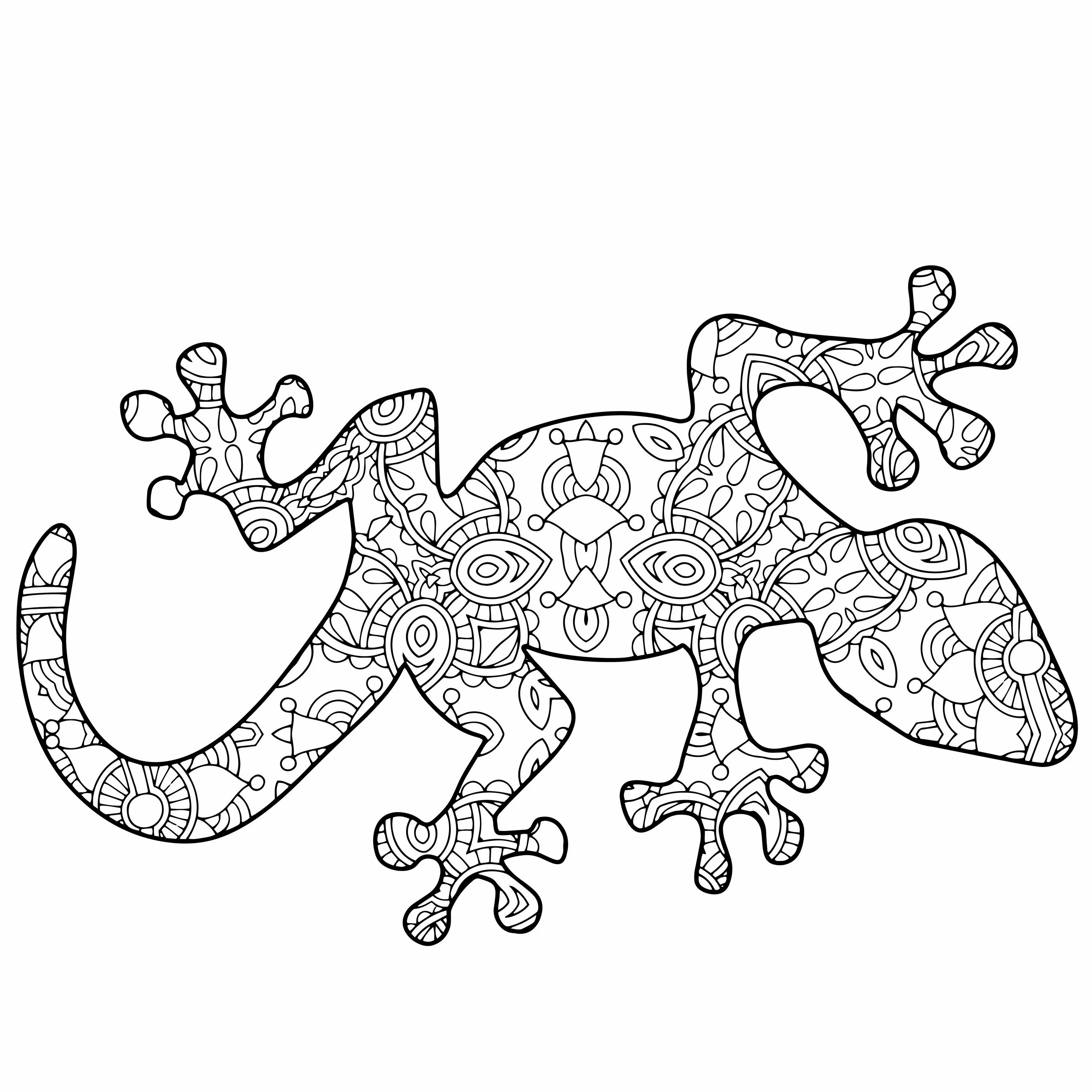 Cute lizard antistress coloring book