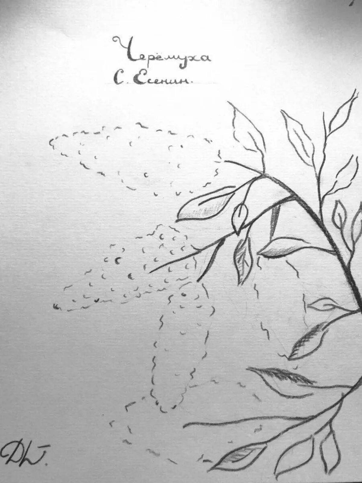 Изысканная вишня есенин птица раскраска