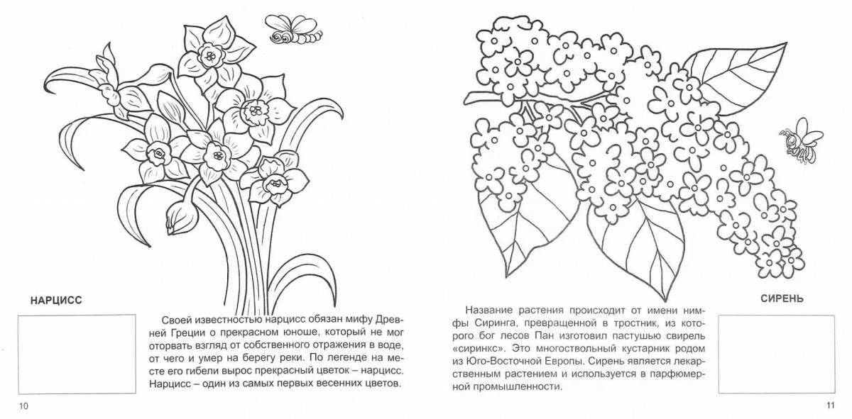 Очаровательная вишневая птица есенин раскраска