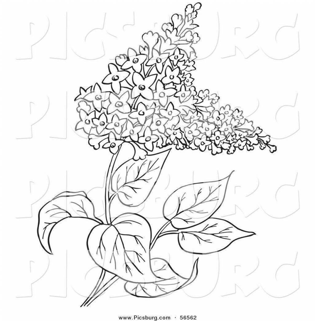 Блаженная вишня есенин птица раскраска