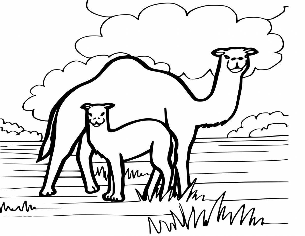 Exotic desert animal coloring pages