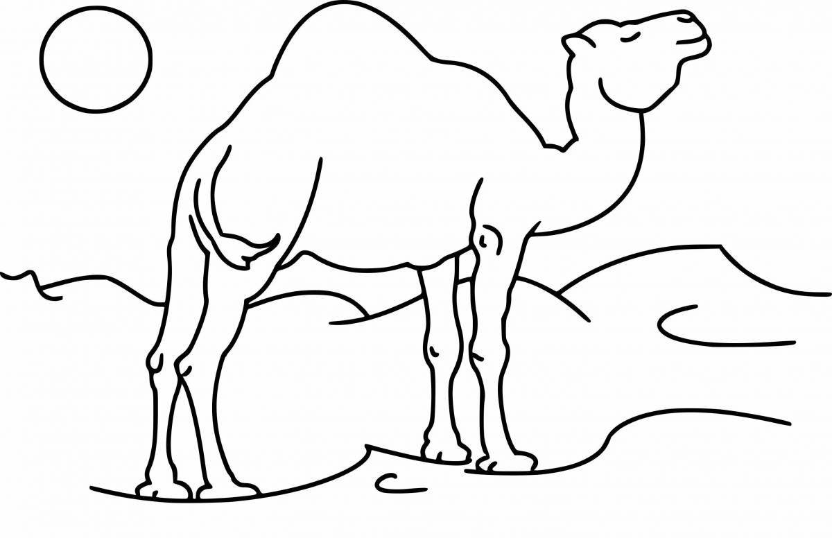 Adorable Desert Animals Coloring Page