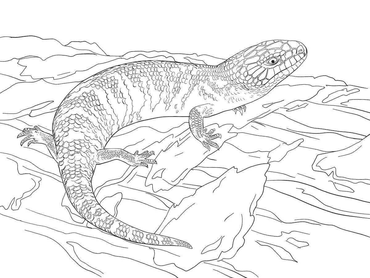 Desert animal coloring pages