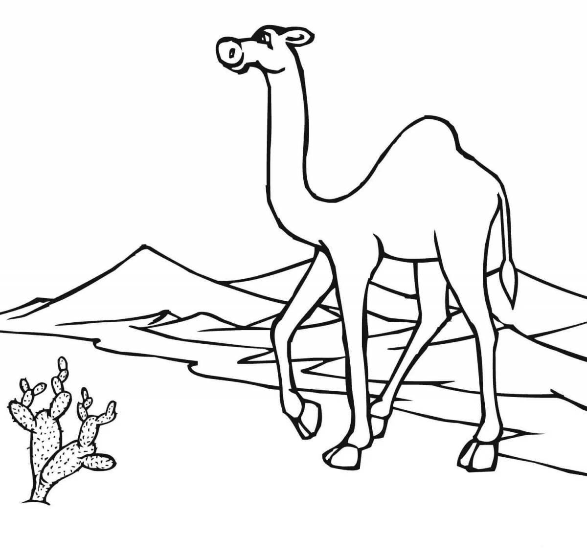 Radiant coloring page desert animals