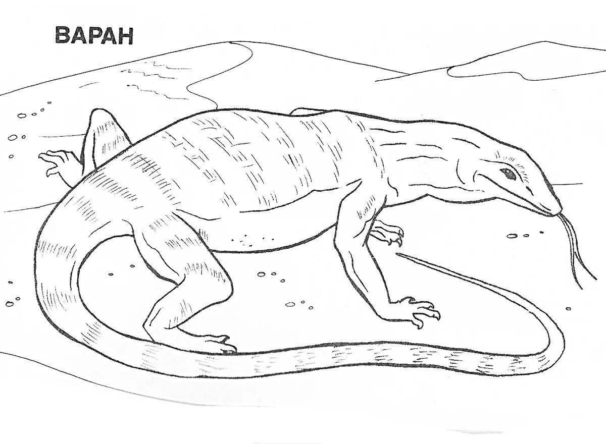 Delightful desert animal coloring pages