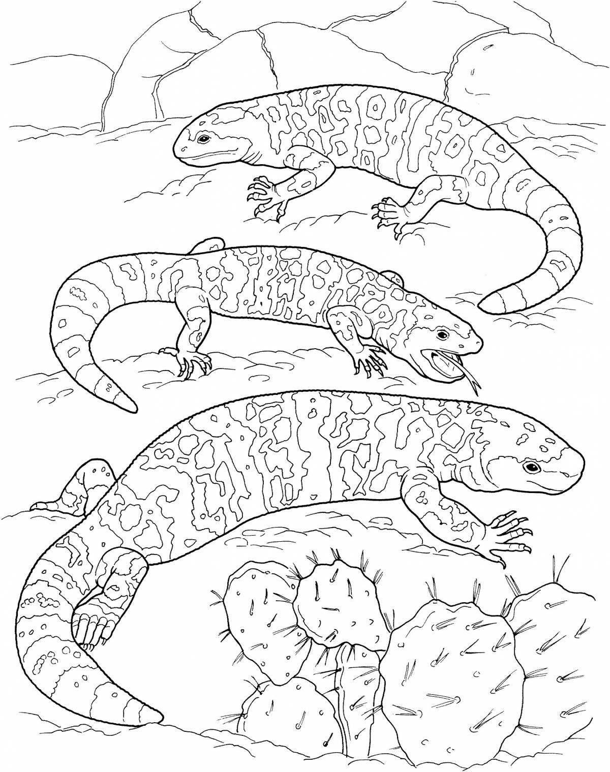 Amazing desert animal coloring pages
