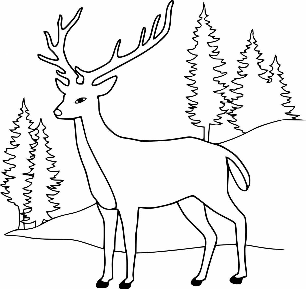 Playing coloring deer