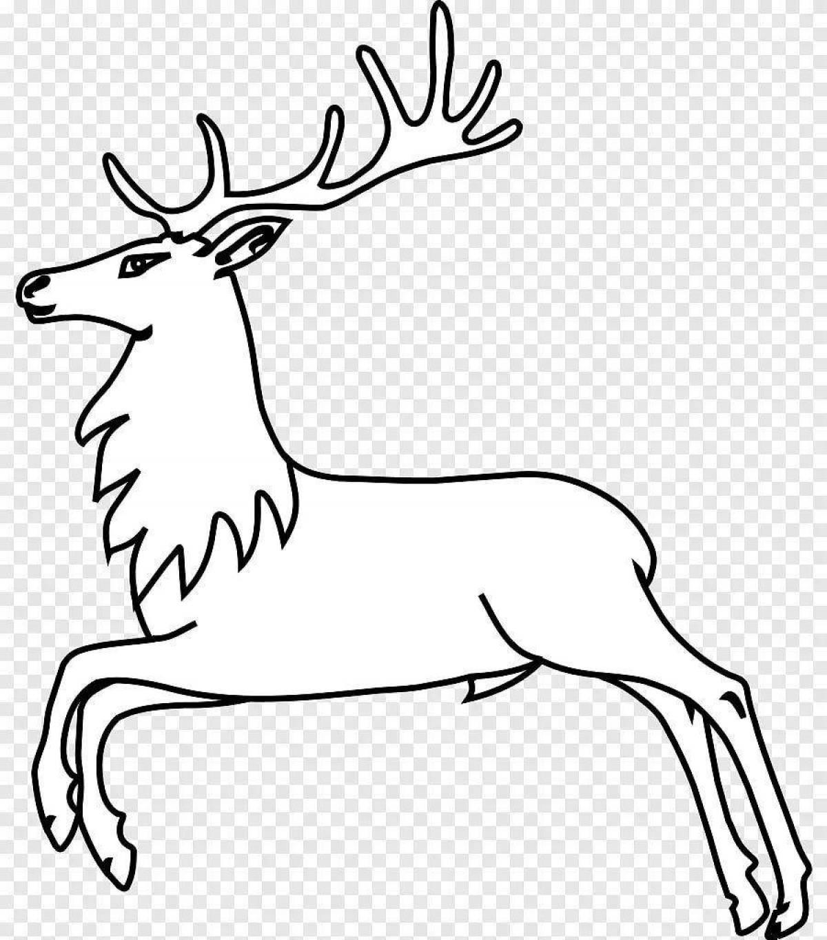 Witty deer coloring book