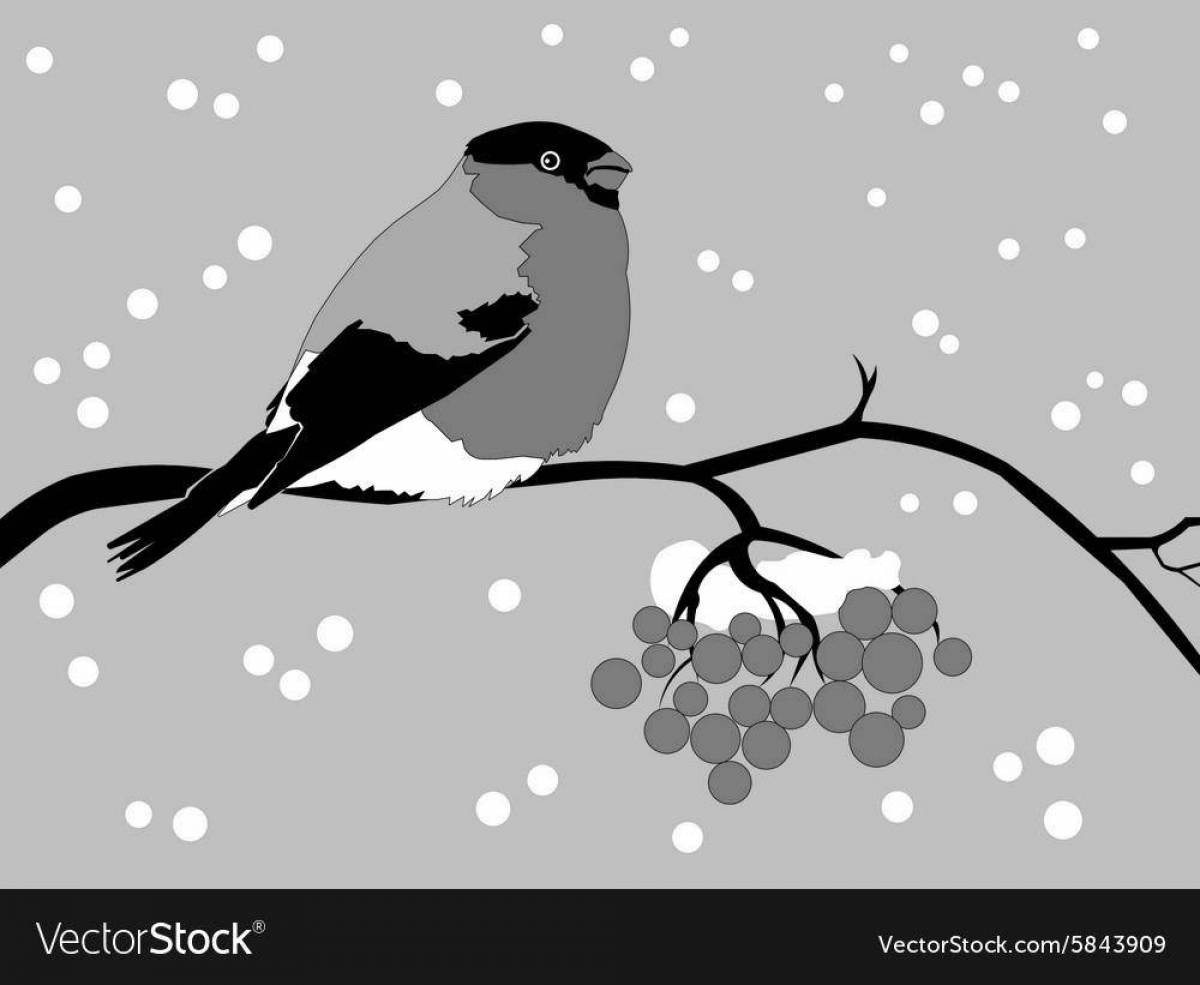 Снегирь рисунок
