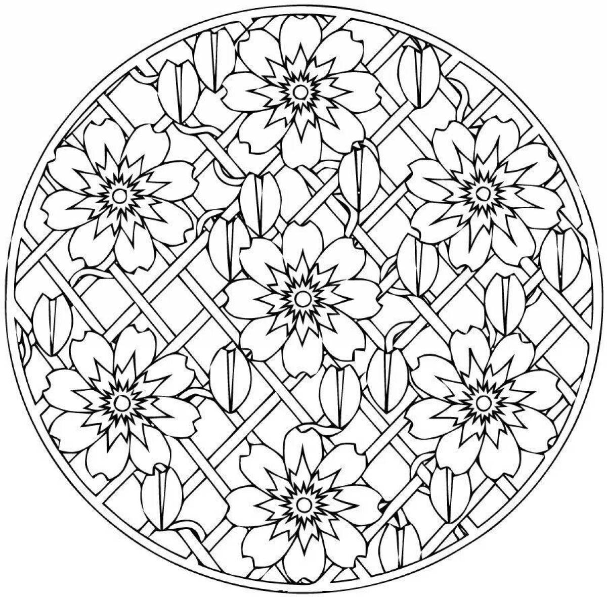 Coloring book with bright plate
