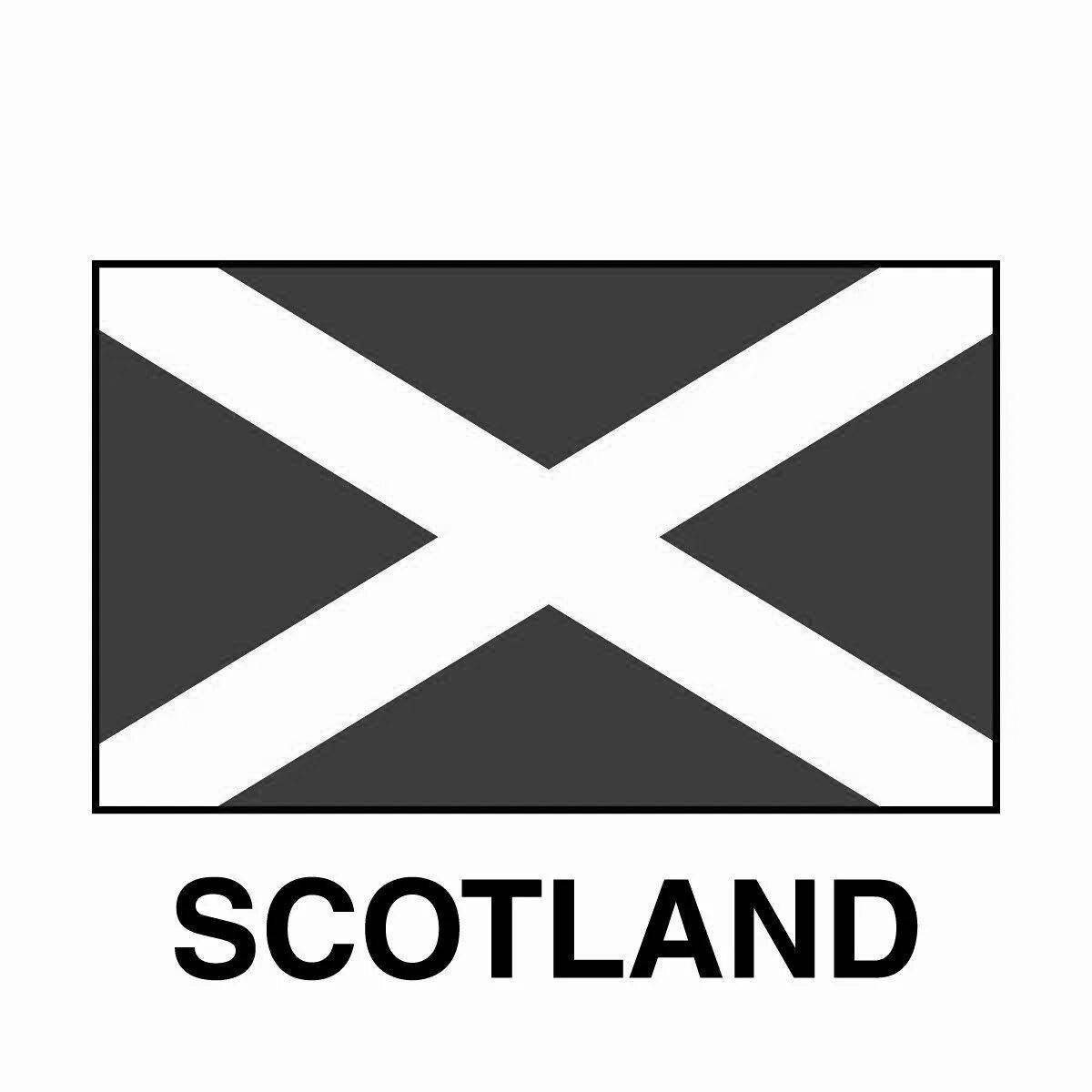 Раскраска яркий флаг шотландии