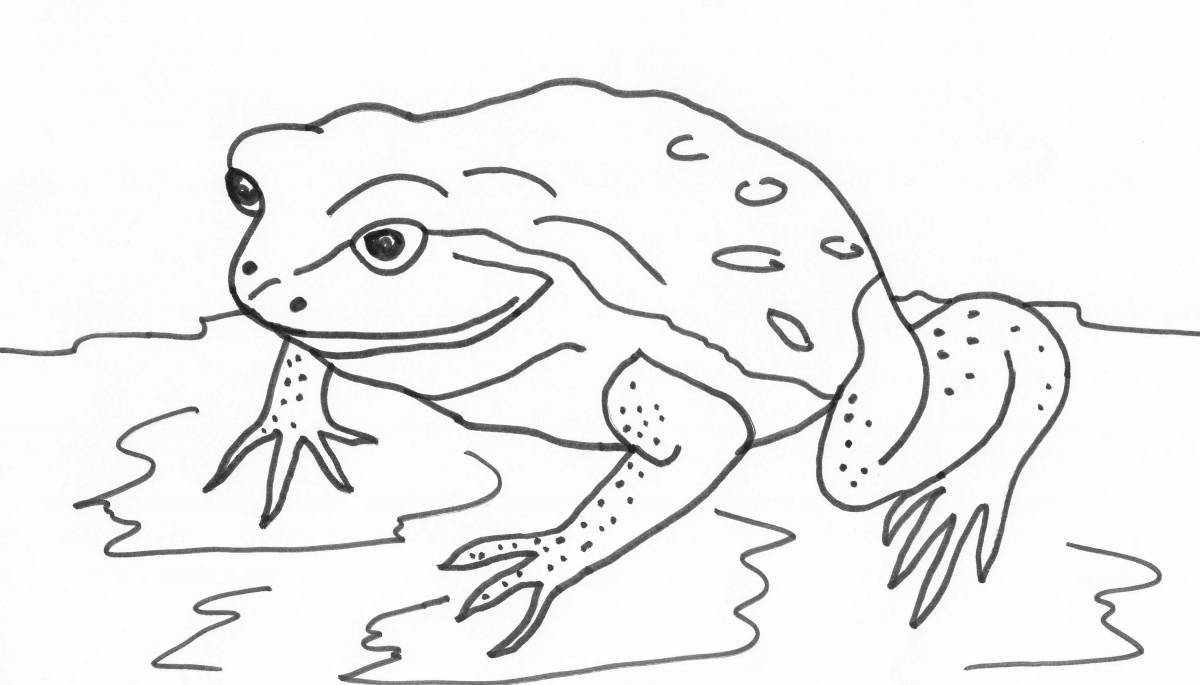 Beautiful coloring suretter balalarga arnalgan